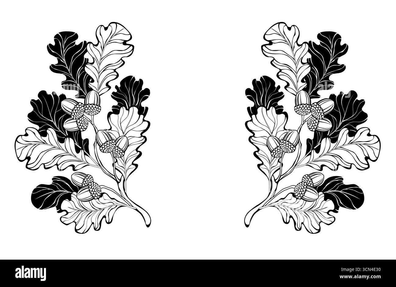 Symmetrische Zusammensetzung von Kontur- und Silhouettenästen aus Eiche mit Eicheln auf weißem Hintergrund. Herbstdesign aus Eiche. Stock Vektor