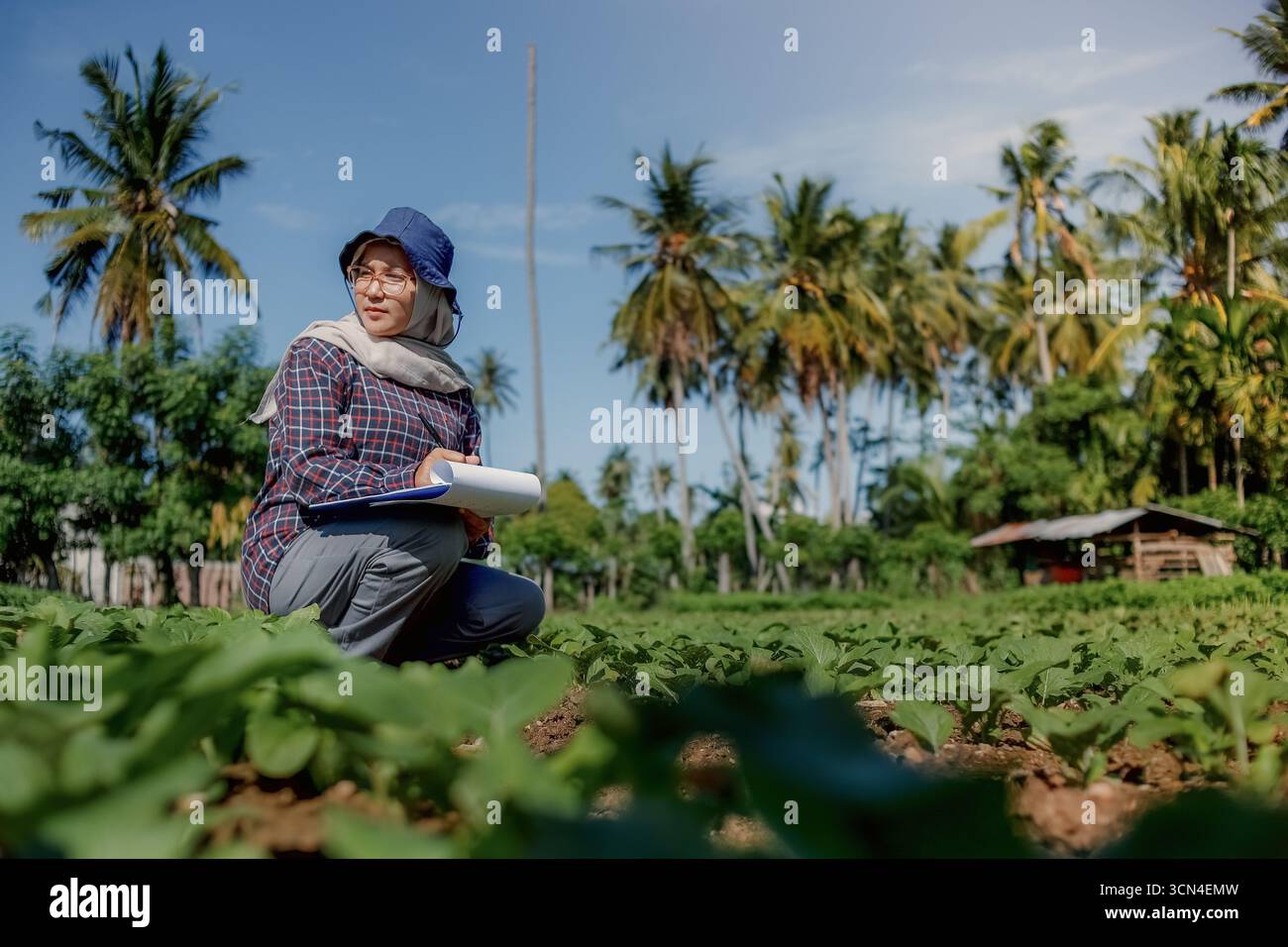 Agrarexperte bei der Inspektion von Kulturen im ökologischen Landwirtschaftsbetrieb für nachhaltige Landwirtschaft“ Stockfoto