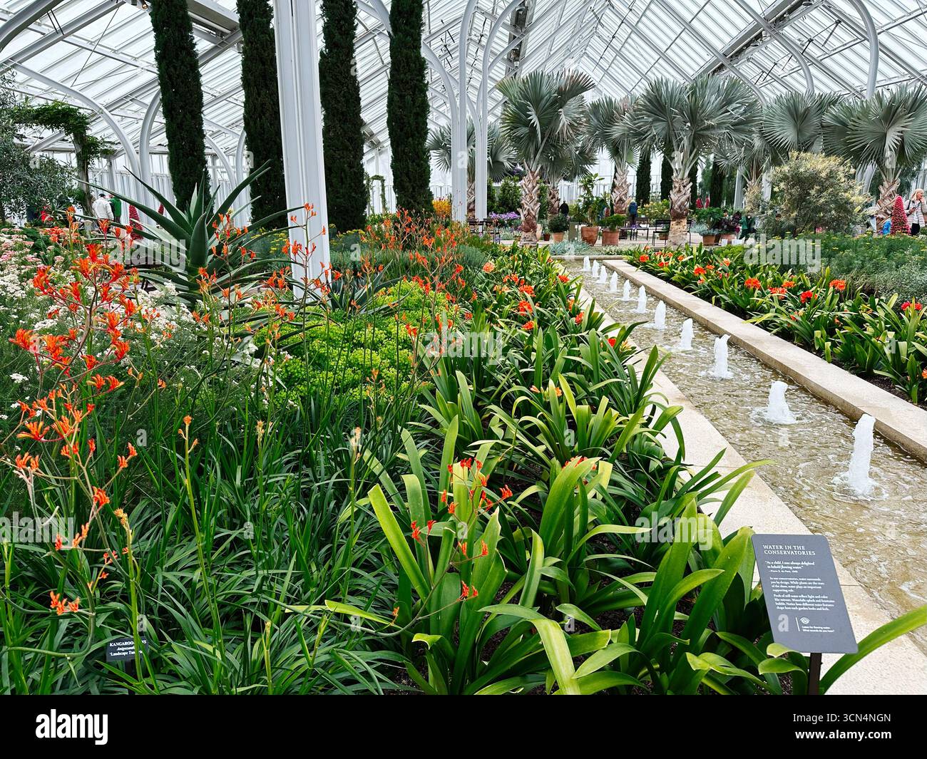 Kennett Square, Pennsylvania, USA - 15. April 2025: Wunderschöne Pflanzen mit Wasserfontänen im Longwood Gardens Conservatory in Pennsylvania Stockfoto