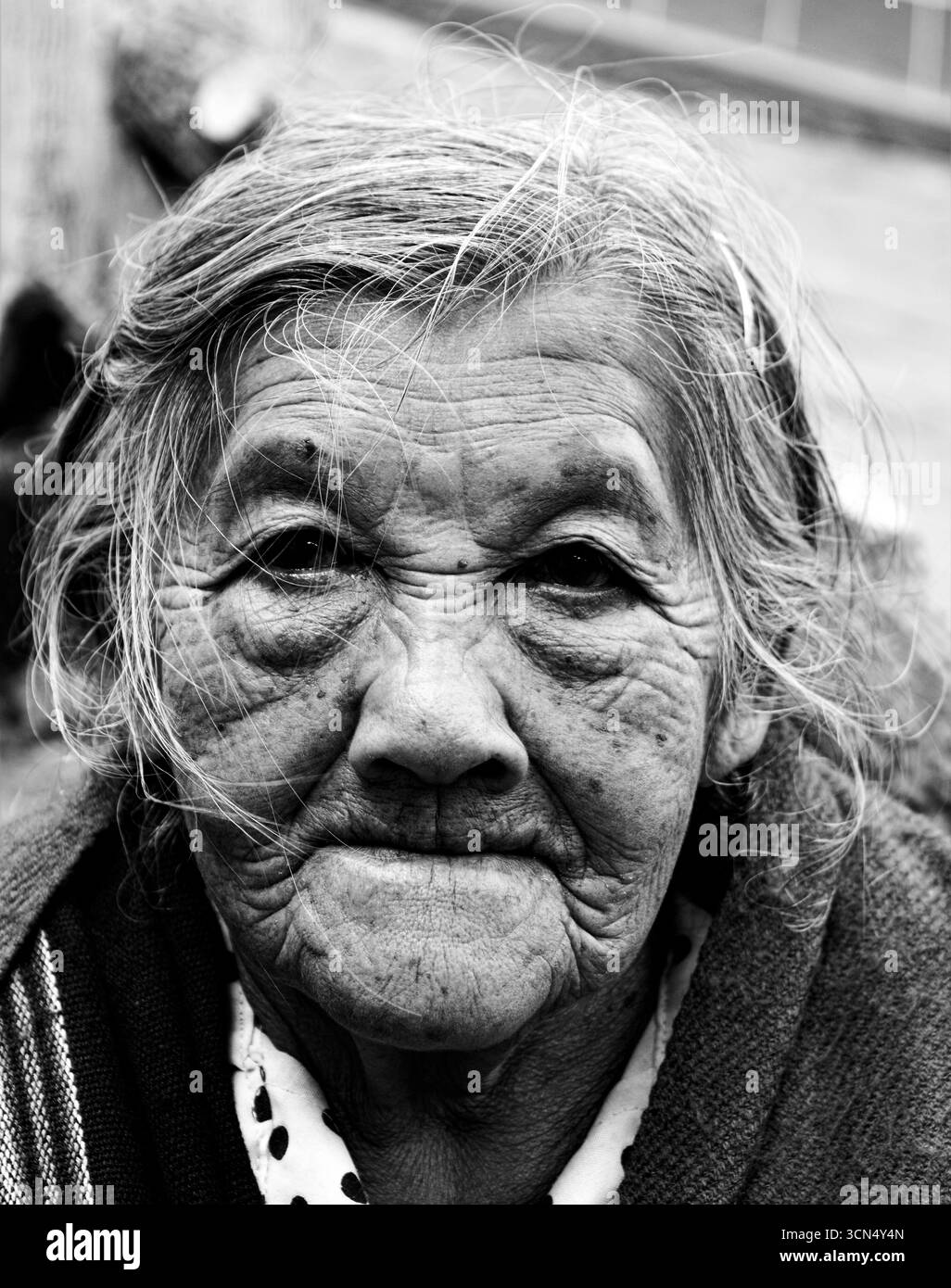 Porträt einer älteren Frau mit heiterem Ausdruck Stockfoto