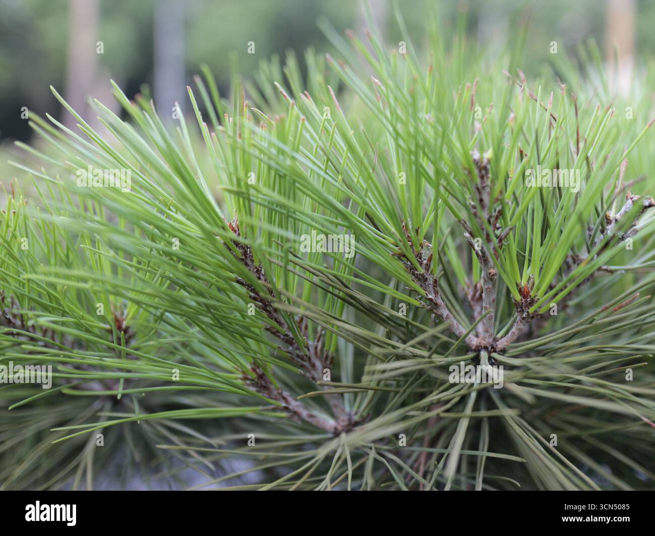 Mehrere Werte Stockfoto