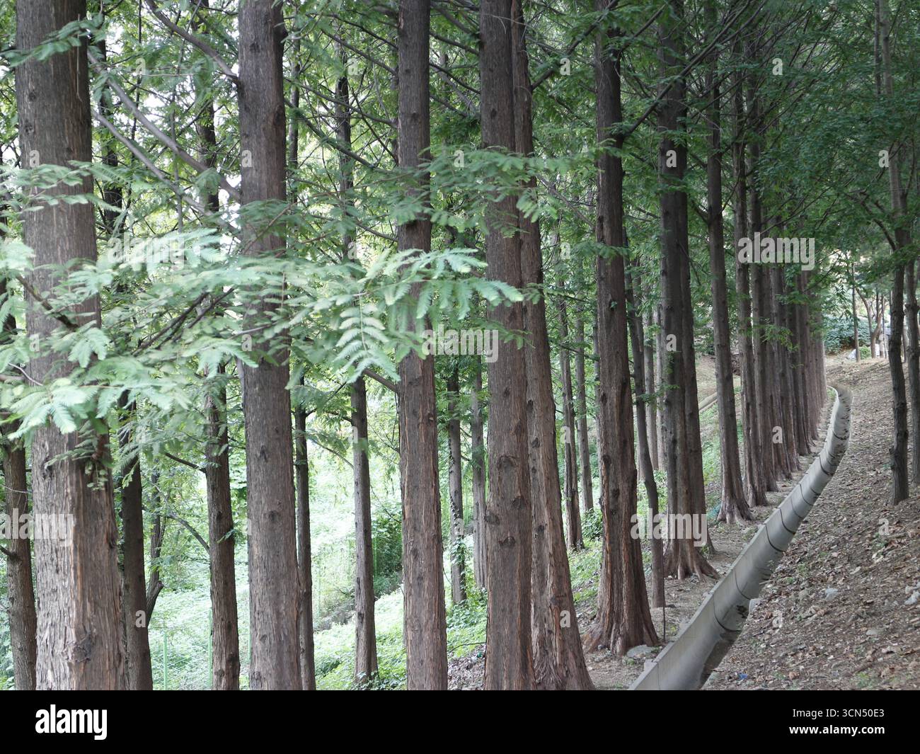 Mehrere Werte Stockfoto