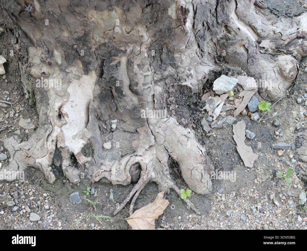 Mehrere Werte Stockfoto