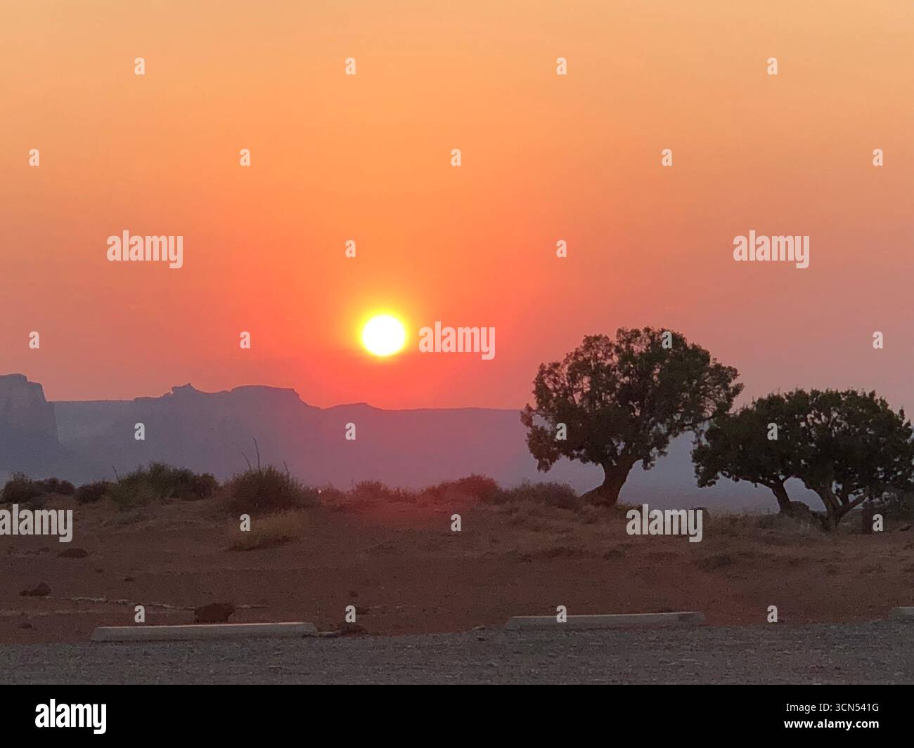 Orangefarbener Sonnenuntergang über der Wüstenlandschaft des amerikanischen Südwestens mit Bäumen, die sich gegen die Sonne schmiegen. Stockfoto