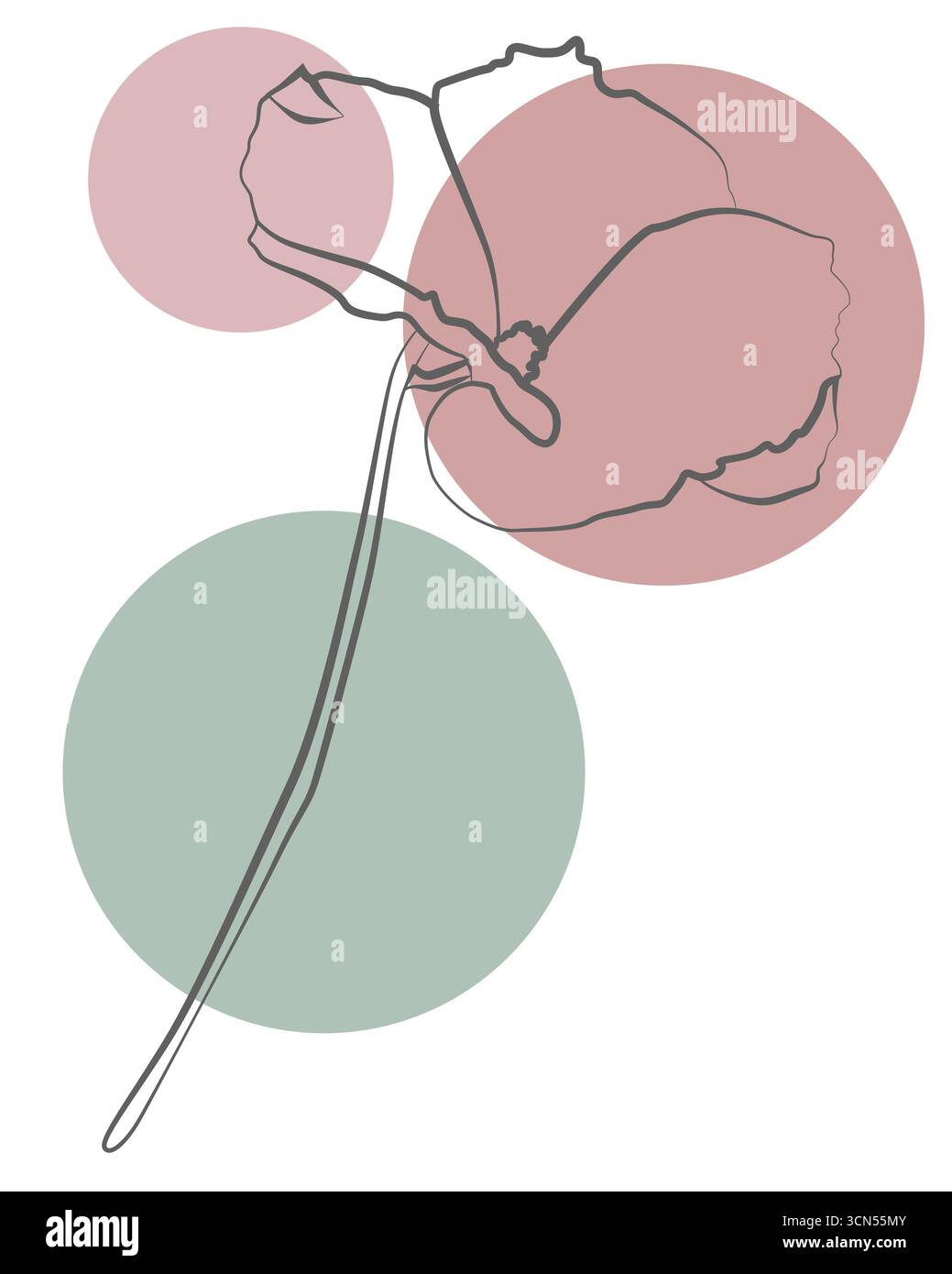 Minimalistische Skizze einer blühenden Blume mit abstrakten Kreisen, modernes Wandkunstkonzept Stockfoto