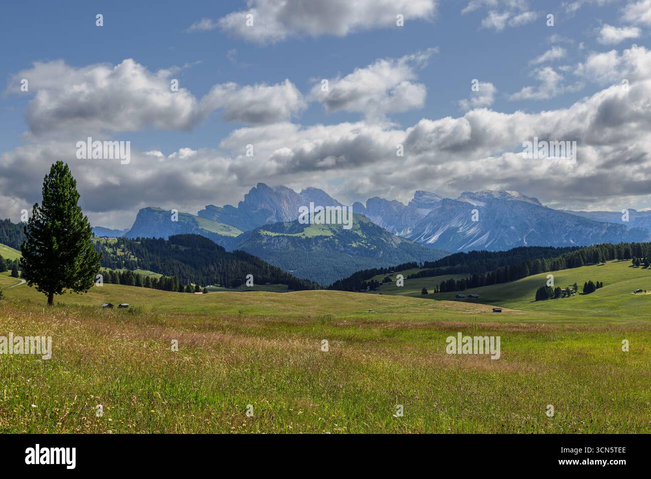 Blick von der Seiser Alm auf die Geislergruppe im Hintergrund in den Dolomiten, Südtirol, Italien. Stockfoto