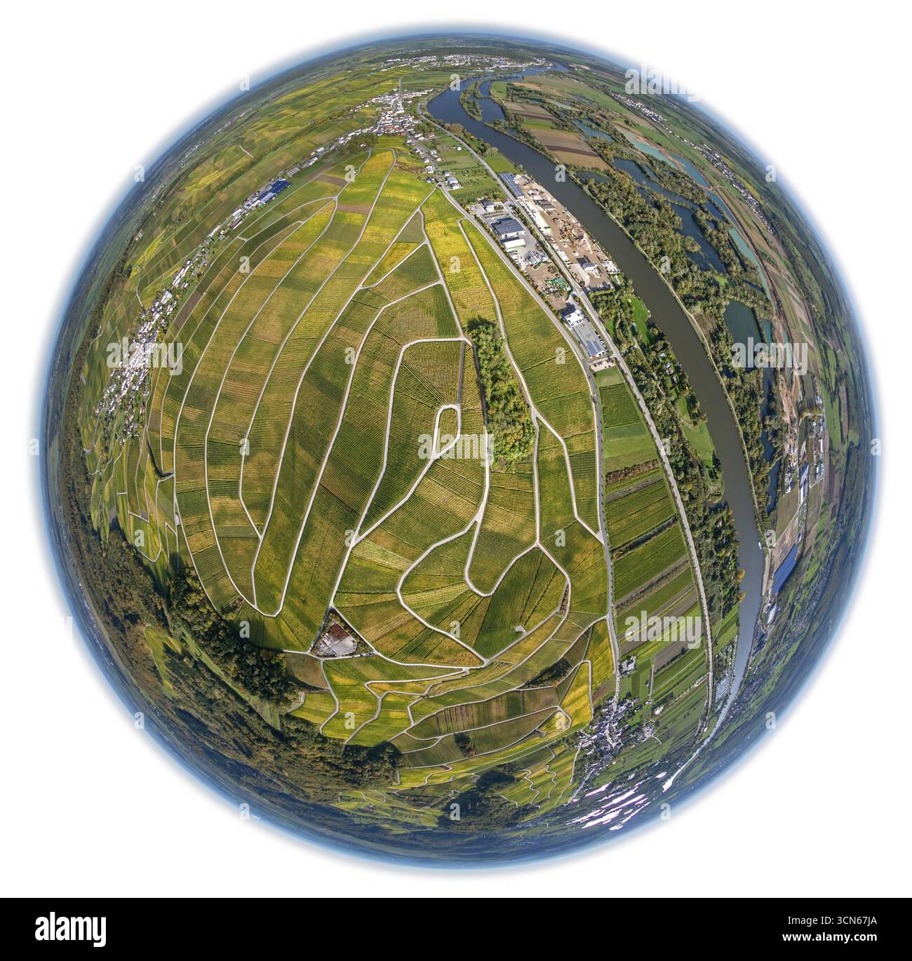 Luftbild, Weinanbauregion Mosel Luxemburg, Weinberge, Wellenstein, Saarland, Grevenmacher, Luxemburg, Europa, Vogelperspektive, Luftaufnahme Stockfoto