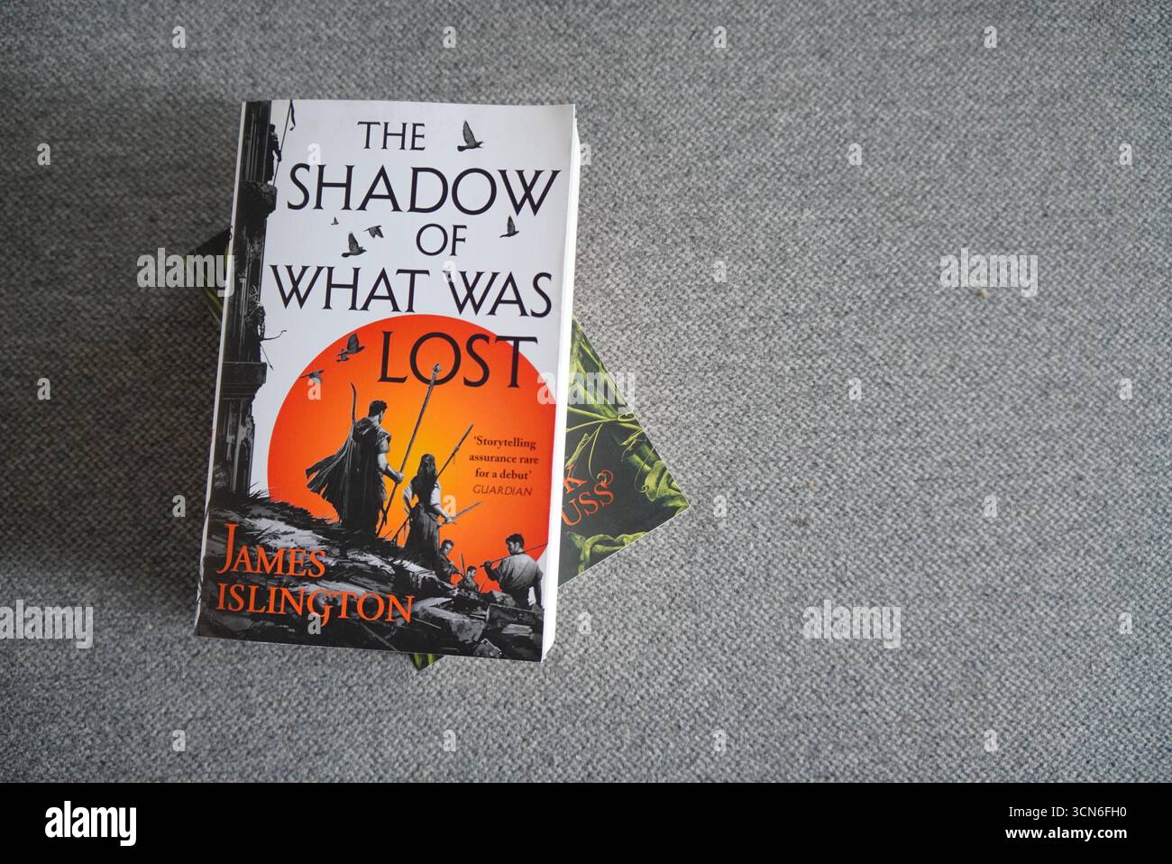 Ein Buchcover, das „The Shadow of What Was Lost“ mit Elementen aus Fantasie und Abenteuer zeigt und die Leser in eine fiktive Welt einlädt. Stockfoto