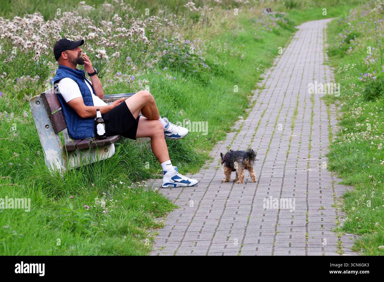 Ein Mann, der sich auf einer Bank bei einem Drink und einer Zigarette entspannt, während sein Hund einen Weg erforscht Stockfoto