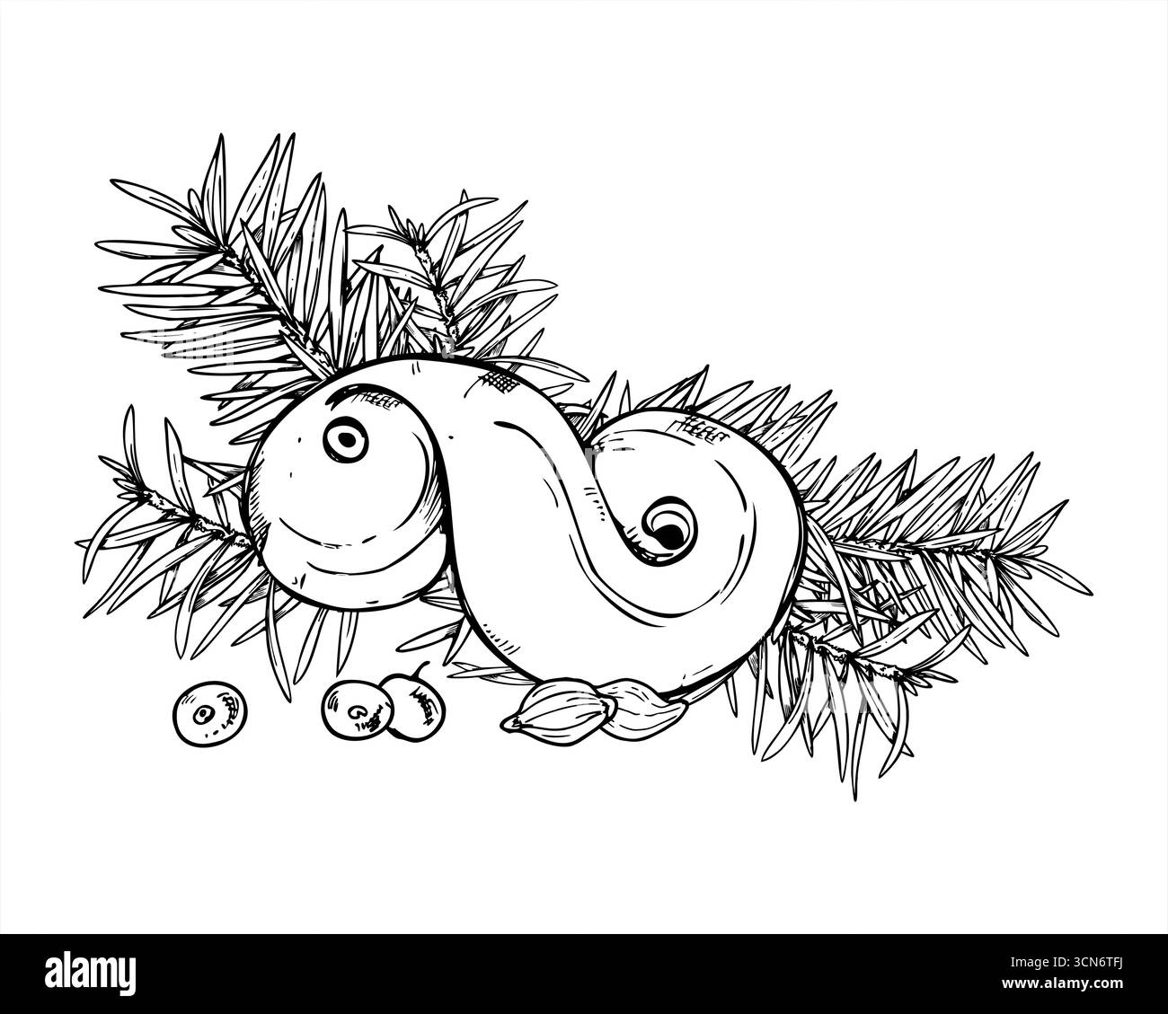 Süßer Brötchen, Kiefernzweige, Beeren, Kardamom Samen Vektor Illustration gemalt von schwarzen Tinten. Einfarbige Weihnachtsdesserts und in Fichtenfarben gehaltene Tinte Stock Vektor