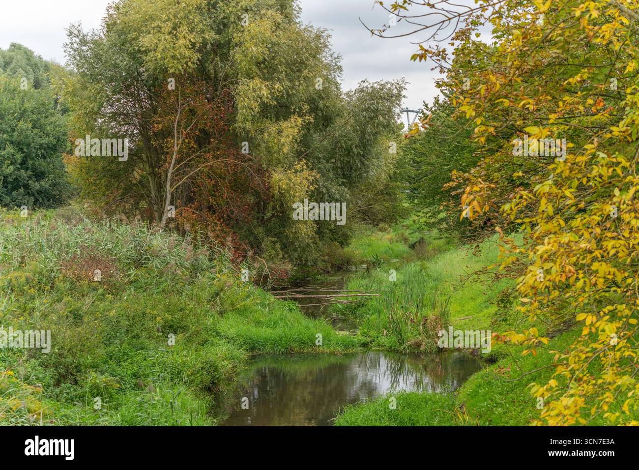 Kleiner Bach mit grünen Bäumen. Ein schmaler Bach fließt durch üppiges Grün und bunte Bäume. Eine natürliche Idylle mit Reflexionen im Wasser. Stockfoto