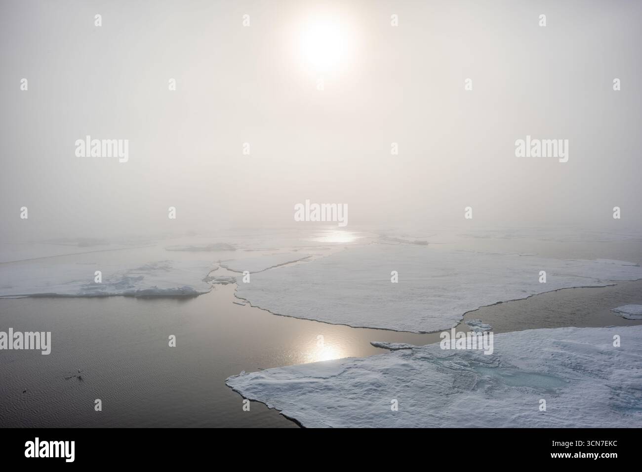 Sjuøyane Sieben Inseln Arktischer Ozean Norwegen // SVALBARD, Norwegen — Eisschollen und offenes Wasser sind im Arktischen Ozean bei Sjuøyane, auch bekannt als die Sieben Inseln, in Svalbard und Jan Mayen zu sehen. Die Sonne scheint durch einen leichten Dunst und reflektiert auf der Wasseroberfläche. Sjuøyane ist ein Archipel nördlich von Nordaustlandet, der zweitgrößten Insel in Svalbard. Diese Inseln sind Teil des Naturschutzgebietes Nordaust-Svalbard, das 1973 gegründet wurde. Das Gebiet ist bekannt für sein raues arktisches Klima und die einzigartige Tierwelt, die an die extremen Bedingungen angepasst ist. Stockfoto Sjuøyane Sieben Inseln Arktischer Ozean Norwegen // SVALBARD, Norwegen — Eisschollen und offenes Wasser sind im Arktischen Ozean bei Sjuøyane, auch bekannt als die Sieben Inseln, in Svalbard und Jan Mayen zu sehen. Die Sonne scheint durch einen leichten Dunst und reflektiert auf der Wasseroberfläche. Sjuøyane ist ein Archipel nördlich von Nordaustlandet, der zweitgrößten Insel in Svalbard. Diese Inseln sind Teil des Naturschutzgebietes Nordaust-Svalbard, das 1973 gegründet wurde. Das Gebiet ist bekannt für sein raues arktisches Klima und die einzigartige Tierwelt, die an die extremen Bedingungen angepasst ist. Stockfoto