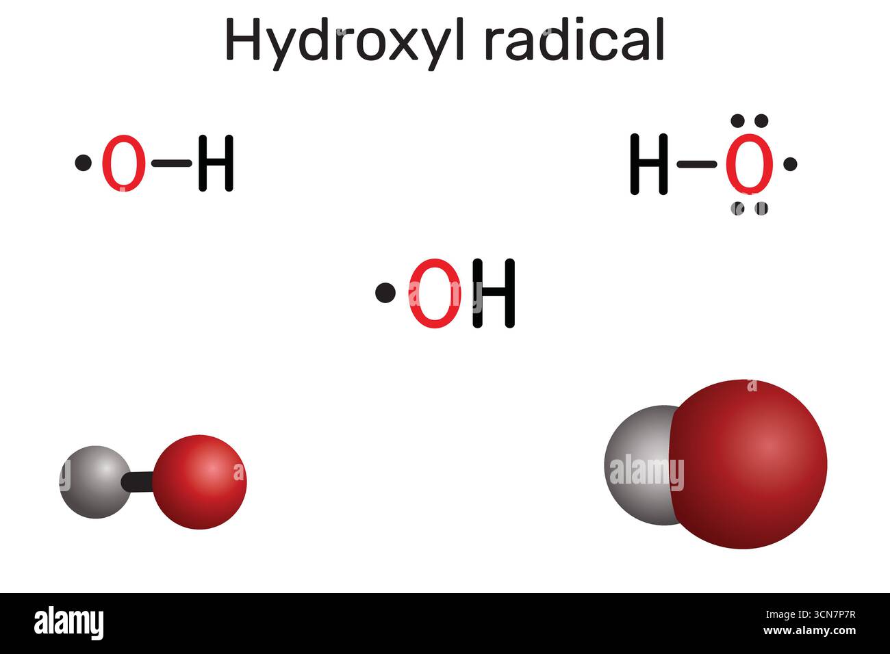 Hydroxylradikalmolekül. Reaktive Sauerstoffspezies (ROS). Chemische Struktur und Modelle. Vektorabbildung Stock Vektor