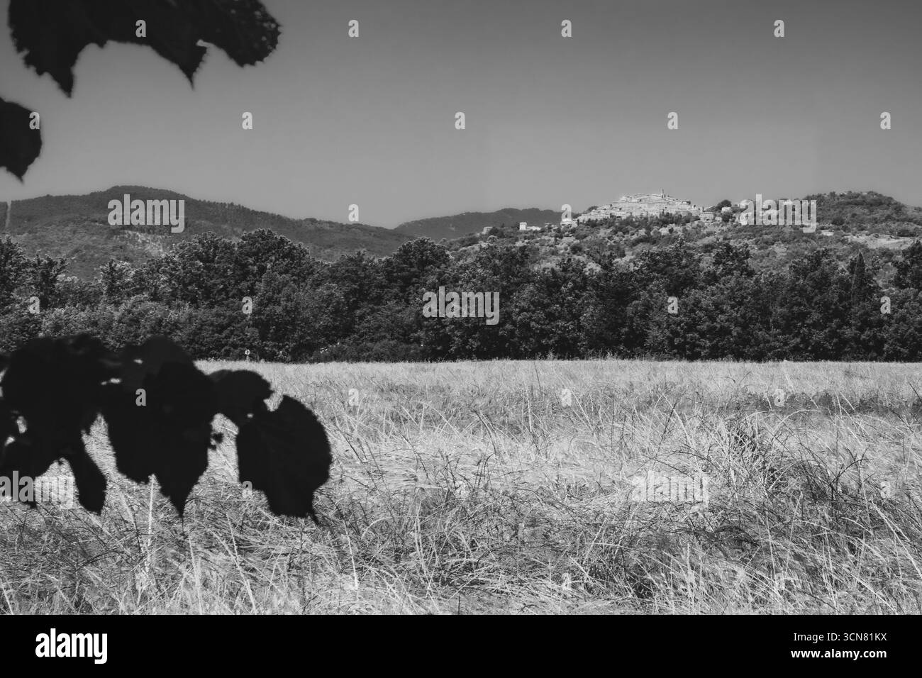 Toskanische Landschaft im Sommer - Italien Stockfoto