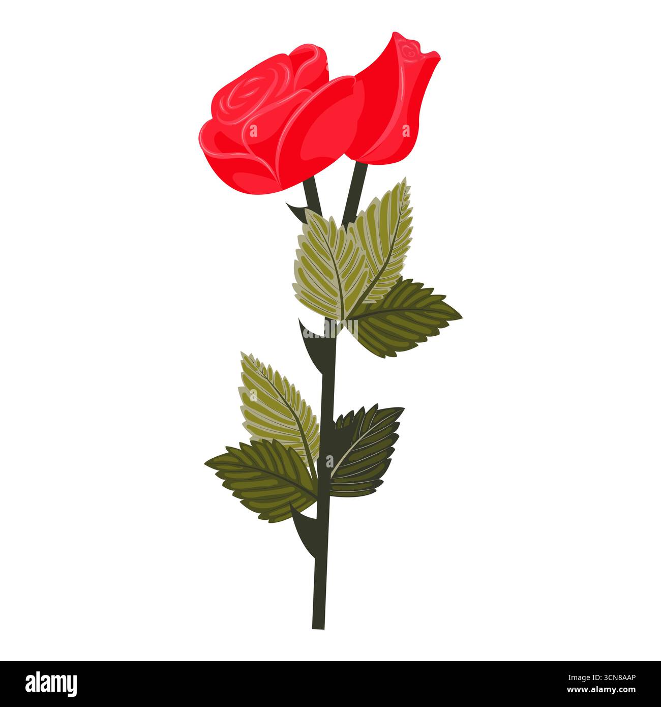 Rote Rosenblüte und Knospen auf einem Stiel. Vektorillustration isoliert auf weißem Hintergrund. Stock Vektor