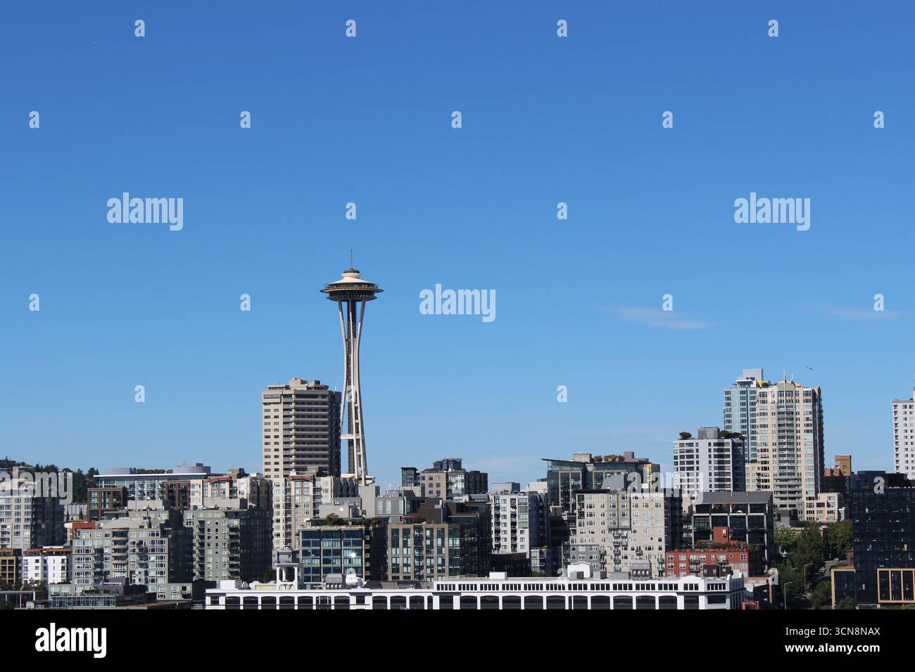 Skyline von Seattle Stockfoto