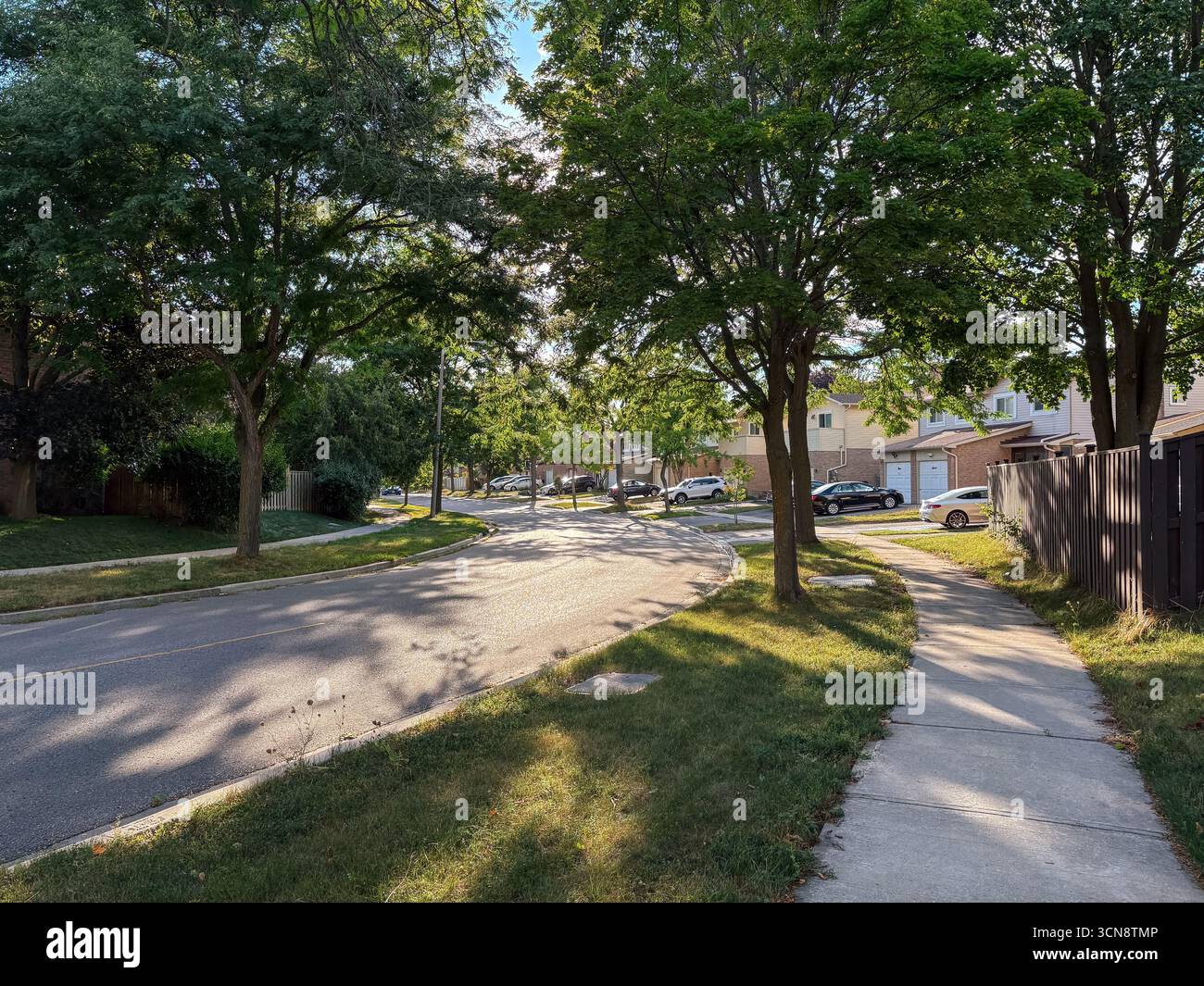 Wohnstraße in Toronto, Kanada, zeigt Häuser, geparkte Autos, grüne Bäume, und einen Bürgersteig an einem sonnigen Tag. Repräsentiert typisches Vorstadtleben und u Stockfoto