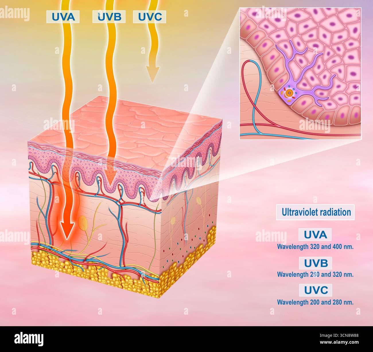 Luxus Hautfrbung Durch Uv Strahlung Bilder