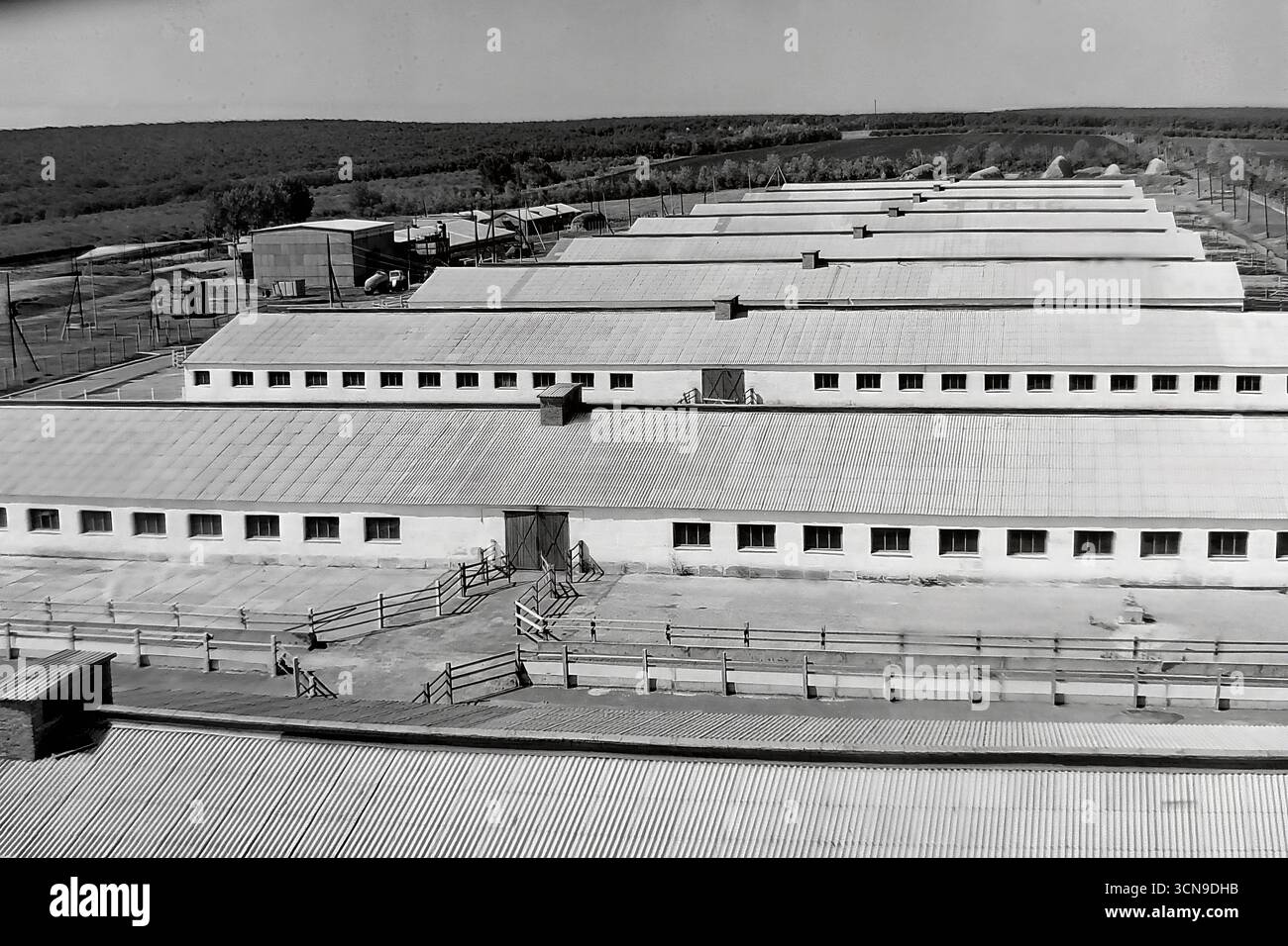 Ein historisches Panoramafoto aus den 1980er Jahren, aufgenommen aus einem hohen Winkel, das den großen Molkereikomplex des „Ukraine“ Kolchoz im Dorf Khrestyschche, ukrainische SSR, zeigt. Die langen, parallelen Reihen von Kuhställen mit Schieferdächern demonstrieren den industriellen Ansatz der Landwirtschaft im spätsowjetischen Donbass. Das Bild ist ein Dokument, das die Architektur und Produktionskraft der sowjetischen Agrarindustrie widerspiegelt Stockfoto