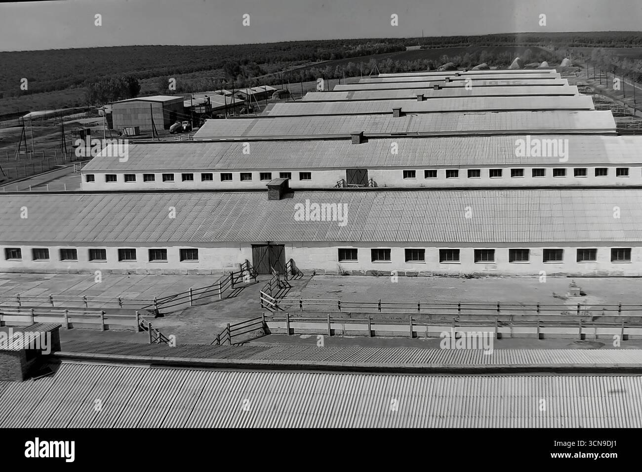 Ein historisches Panoramafoto aus den 1980er Jahren, aufgenommen aus einem hohen Winkel, das den großen Molkereikomplex des „Ukraine“ Kolchoz im Dorf Khrestyschche, ukrainische SSR, zeigt. Die langen, parallelen Reihen von Kuhställen mit Schieferdächern demonstrieren den industriellen Ansatz der Landwirtschaft im spätsowjetischen Donbass. Das Bild ist ein Dokument, das die Architektur und Produktionskraft der sowjetischen Agrarindustrie widerspiegelt Stockfoto