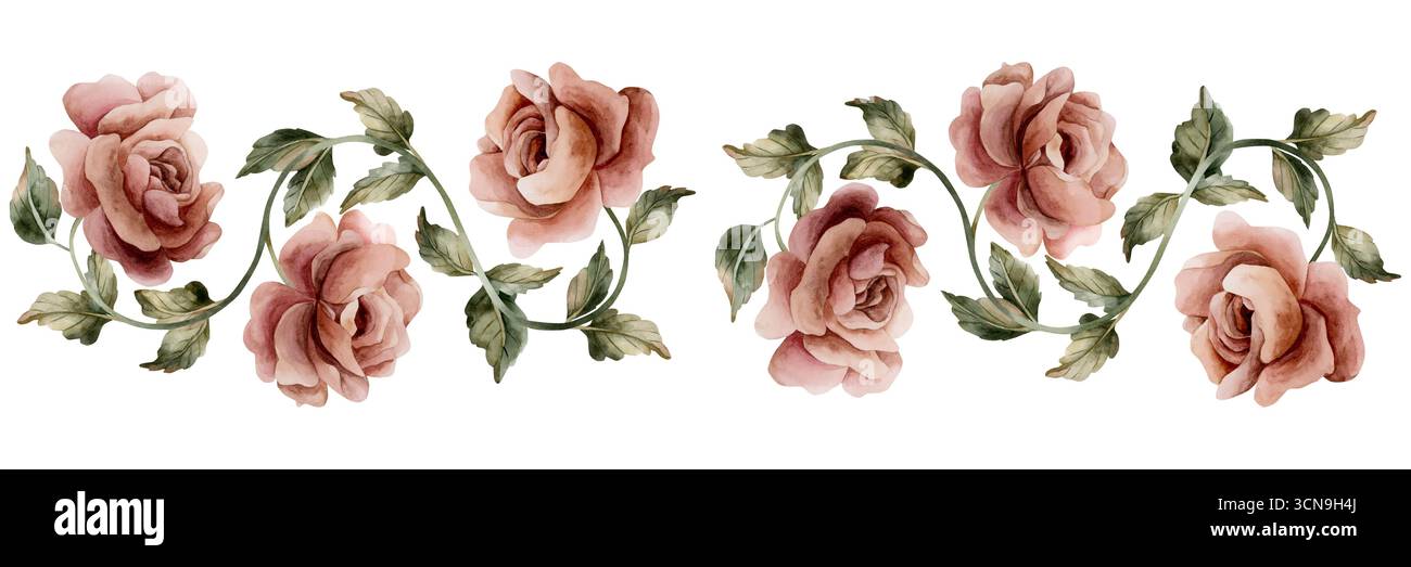 Rose mit Knospen und hinterlässt einen nahtlosen Rand. Staubige rosa Gartenblume. Aquarell handgemalt florale isolierte Illustration für Hochzeit Design Haus Texti Stockfoto