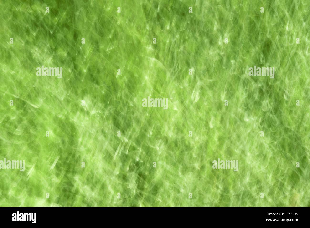 Ein künstlerischer Hintergrund mit intentionaler Kamerabewegung (ICM) auf grünem Laub. Eine dynamische und abstrakte Textur, die Natur, Energie, fr Stockfoto