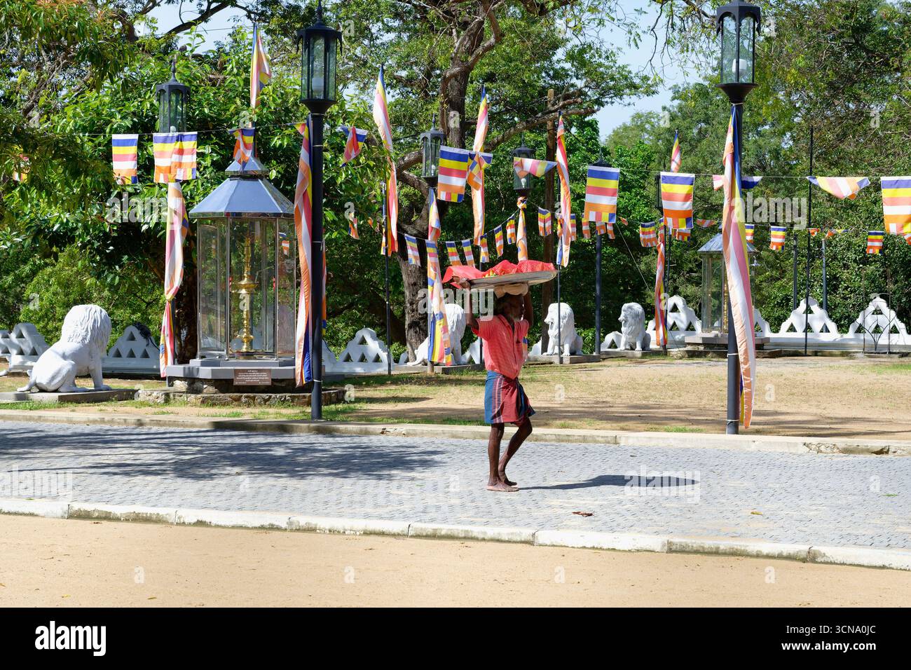 Der Einheimische trägt Früchte auf dem Kopf im Kataragama-Tempelkomplex, Sri Lanka Stockfoto