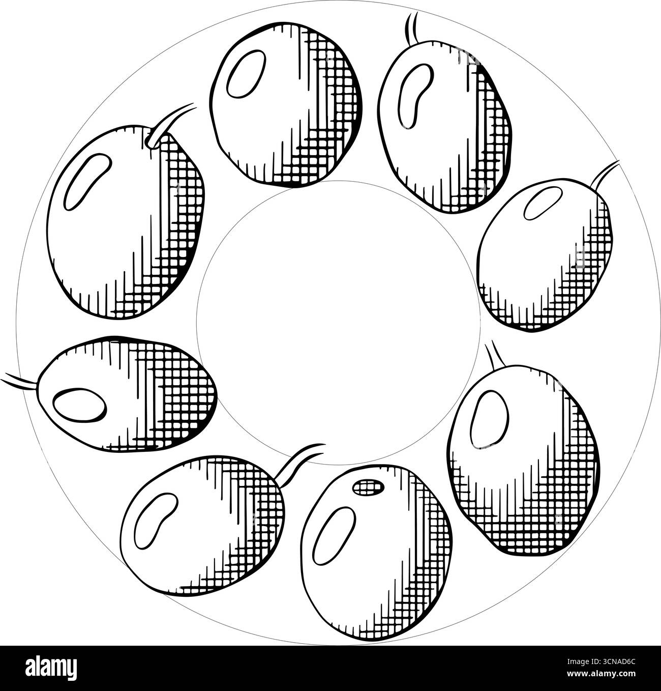 Quadratische Schablone mit schwarzem Beerenkreis. Grafischer Vektorstrich Tinte Schwarz-weiß-Illustration. Fruchtloser Rosmarin, Lorbeerblatt kreisförmiger Rahmen für Karte, fo Stock Vektor