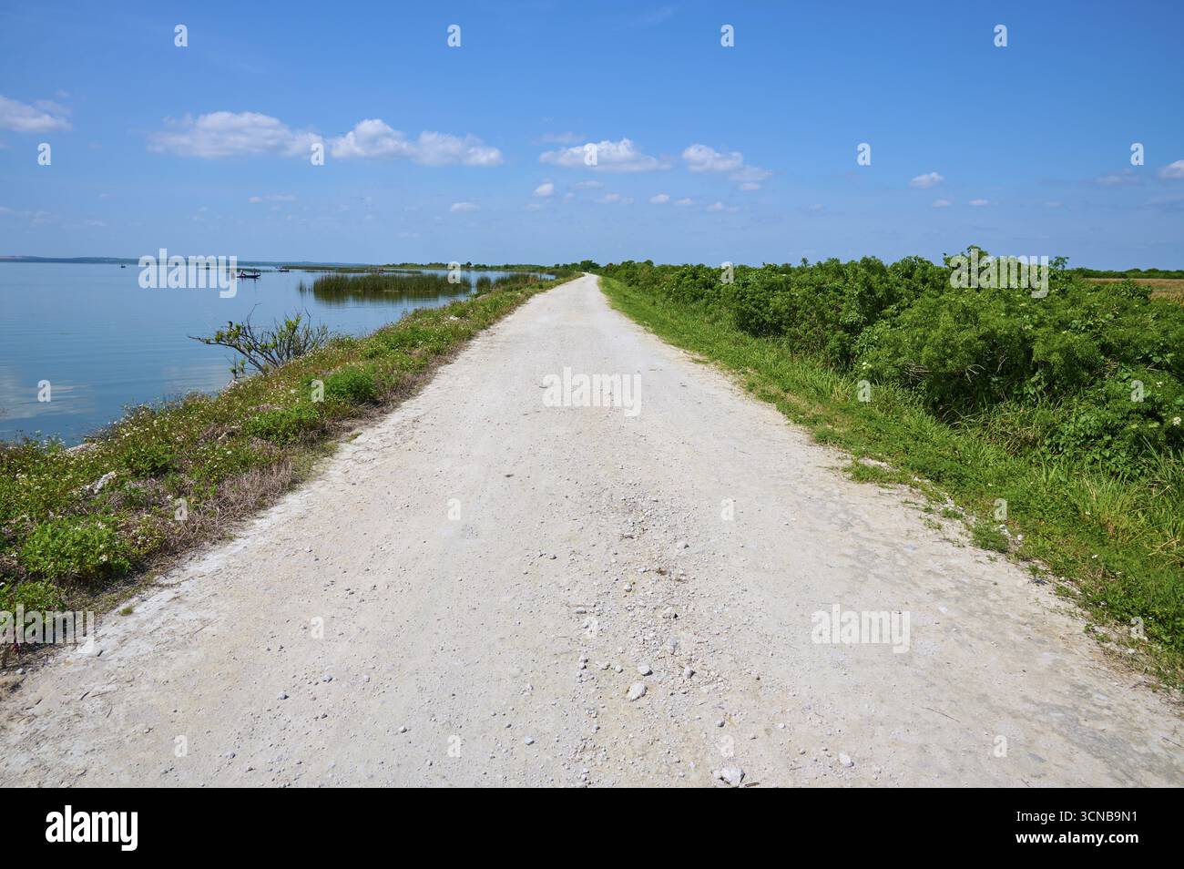 Schotterstraße entlang eines Sees mit bewölktem Himmel und grüner Vegetation, Lake Apopka North Shore, Orlando, Florida, USA Stockfoto