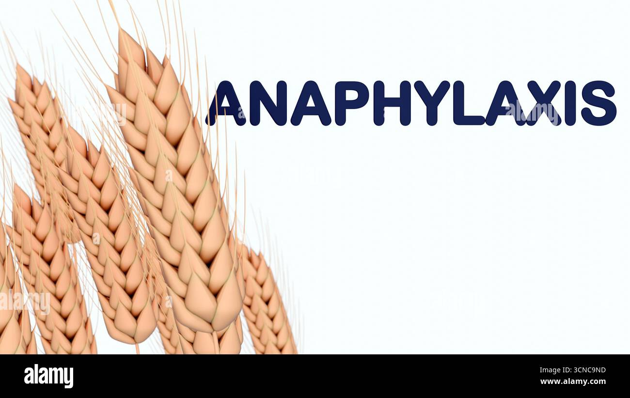 3D-Darstellung von Weizenstielen mit Reifen, hellbraunen, strukturierten Köpfen. Stockfoto