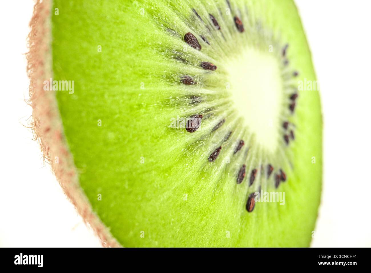 Zwei Kiwis werden in zwei Hälften geschnitten und auf einem weißen Hintergrund platziert. Die Kiwis sind grün und haben schwarze Samen Stockfoto
