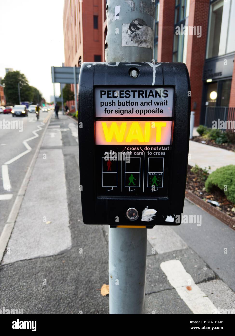 Nahaufnahme der Fußgängertaste an einer Straßenübergangsstelle, Großbritannien Stockfoto
