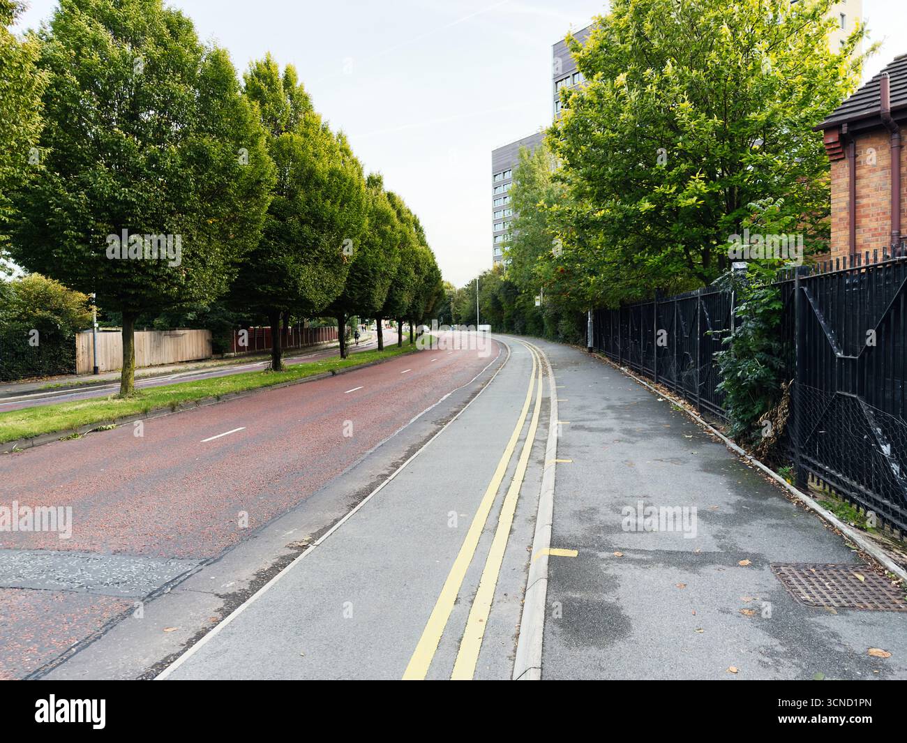Eine leere Stadtstraße in Manchester, die von Bäumen und städtischer Infrastruktur begrenzt wird. Stockfoto