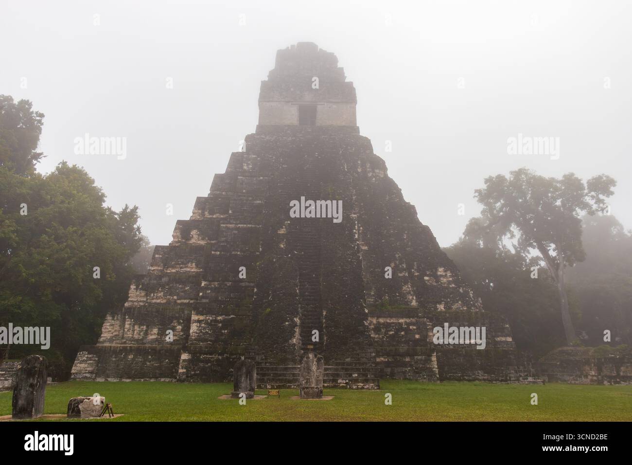 Tempel I oder gran jaguar an der archäologischen Stätte Tikal am nebeligen Morgen, Guatemala Stockfoto
