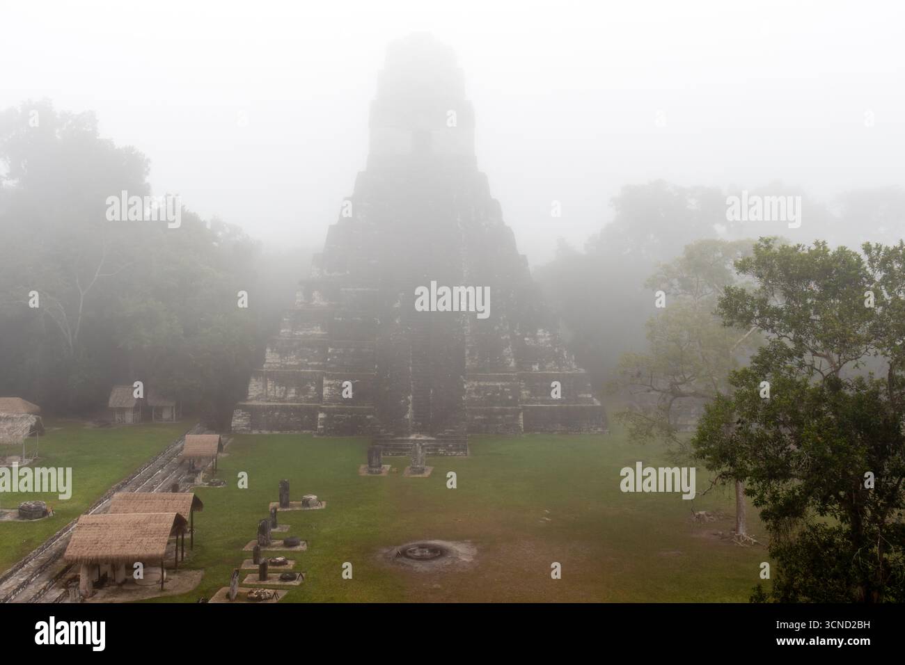 Tempel I oder gran jaguar an der archäologischen Stätte Tikal am nebeligen Morgen, Guatemala Stockfoto