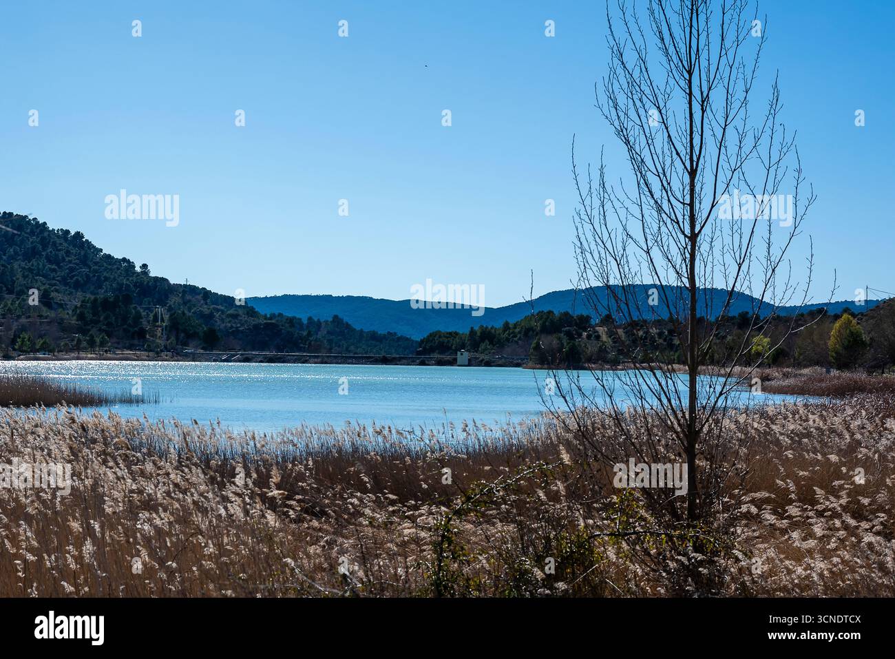 Ruhige Aussicht auf den See, umgeben von Hügeln und Schilf an einem klaren Tag im Herbst Stockfoto