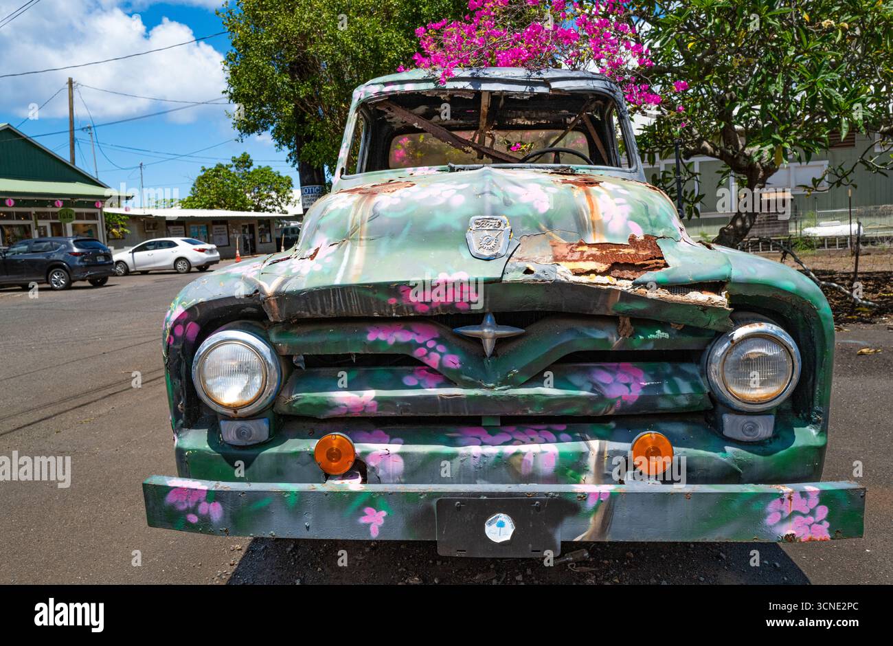 An der Main Street von Hanapepe befindet sich ein alter Ford-Truck, der mit Bougainvillea-Blumen bedeckt ist. Hier können Besucher die kleinen Geschäfte und Galerien der Stadt erkunden. Stockfoto