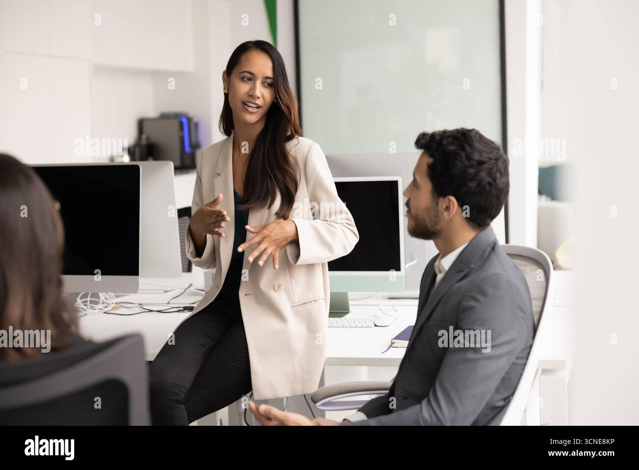 Erfolgreiche Geschäftsfrau diskutiert mit Kollegen den Produktmanagementplan Stockfoto