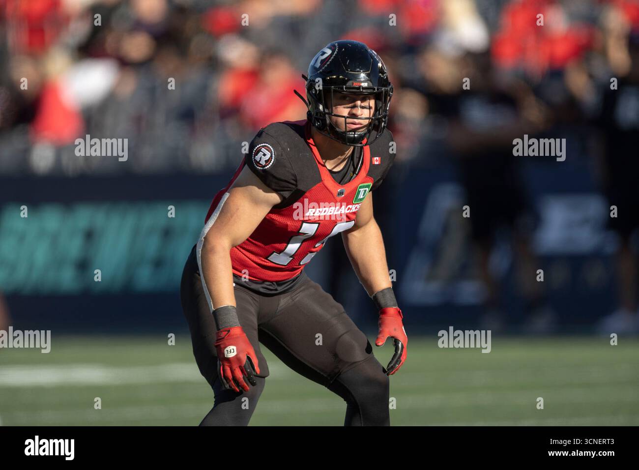Ottawa, Kanada. September 2025. Lucas CORMIER (19) von den Ottawa RedBlack. Die Winnipeg Blue Bomber besiegten die Ottawa Redblacks 26-18 in der Regular Season Canadian Football League (CFL). Quelle: Sean Burges/Alamy Live News Stockfoto