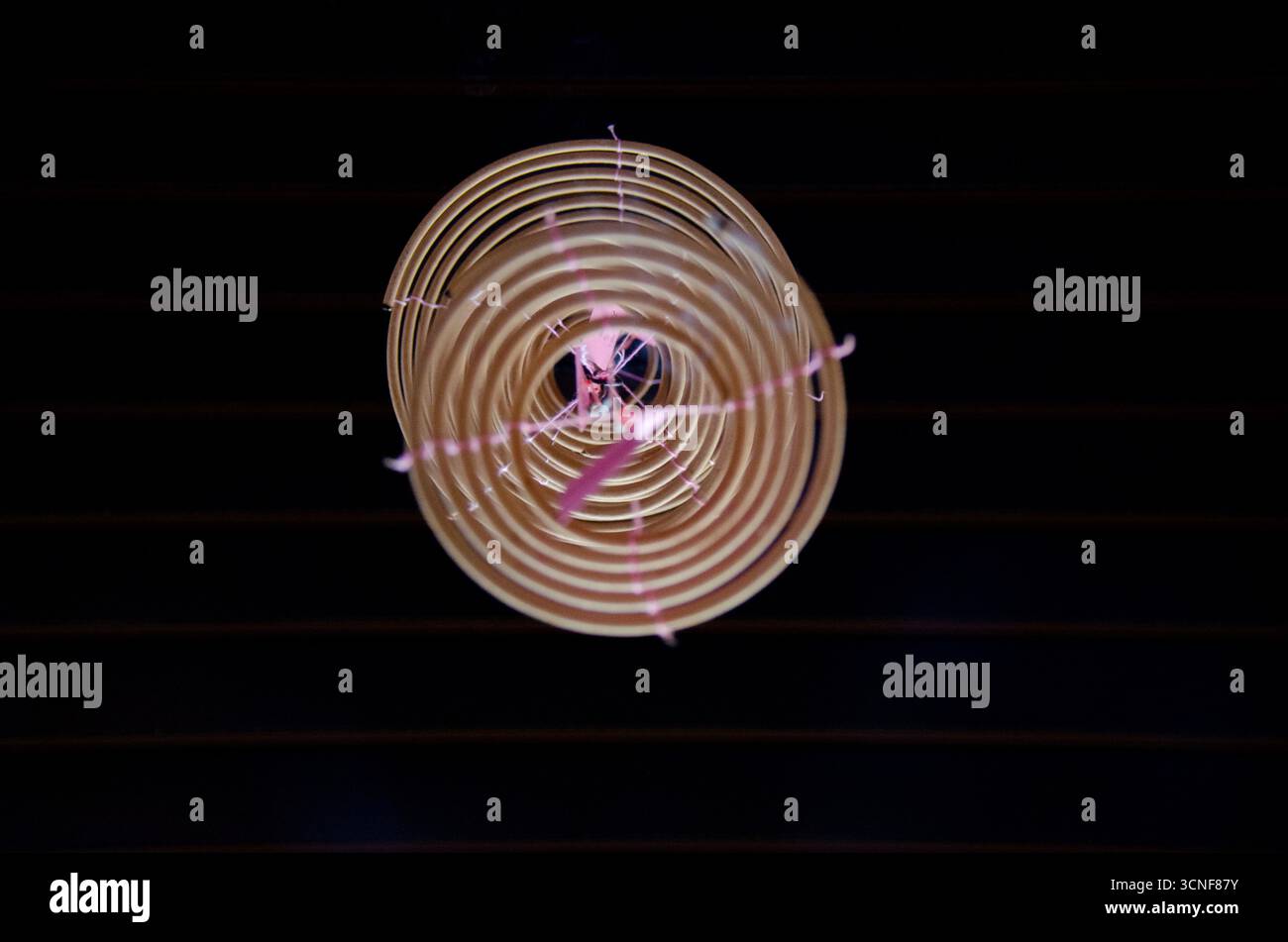 Brennende spiralförmige Weihrauchspule, die von der Decke im Tempel hängt und für langanhaltende Gebete und traditionelle spirituelle Opfergaben verwendet wird Stockfoto
