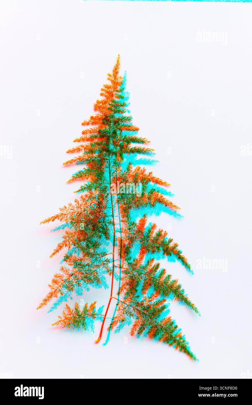Spargelfarnblatt mit digitalem Glitcheffekt, das natürliches Laub mit futuristischer Verzerrungsästhetik verbindet. Eine surreale Mischung aus organischer Textur und p Stockfoto