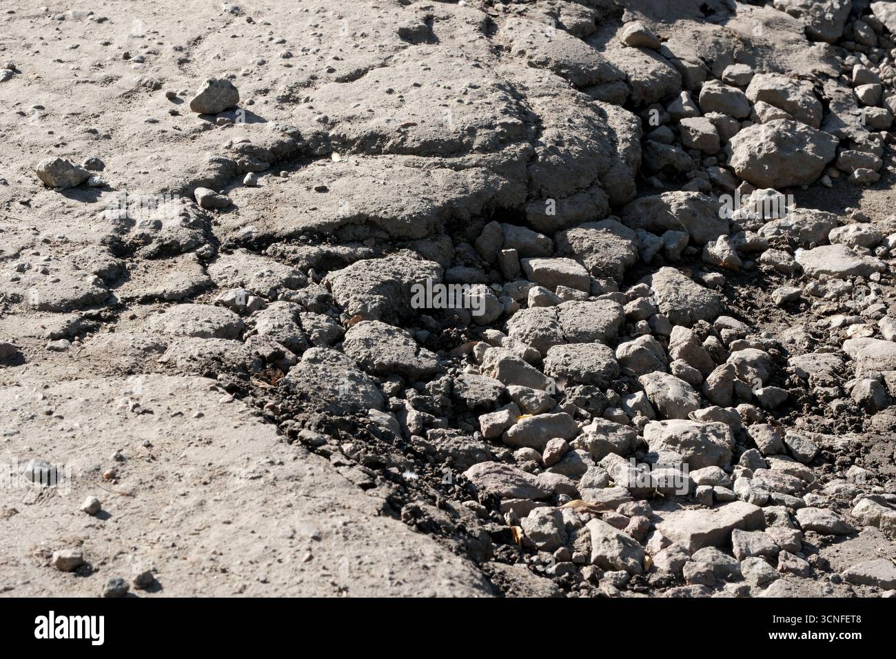Risse breiten sich über trockene Erde aus und zeigen einzigartige Texturen und Steine unter Sonnenlicht. Stockfoto
