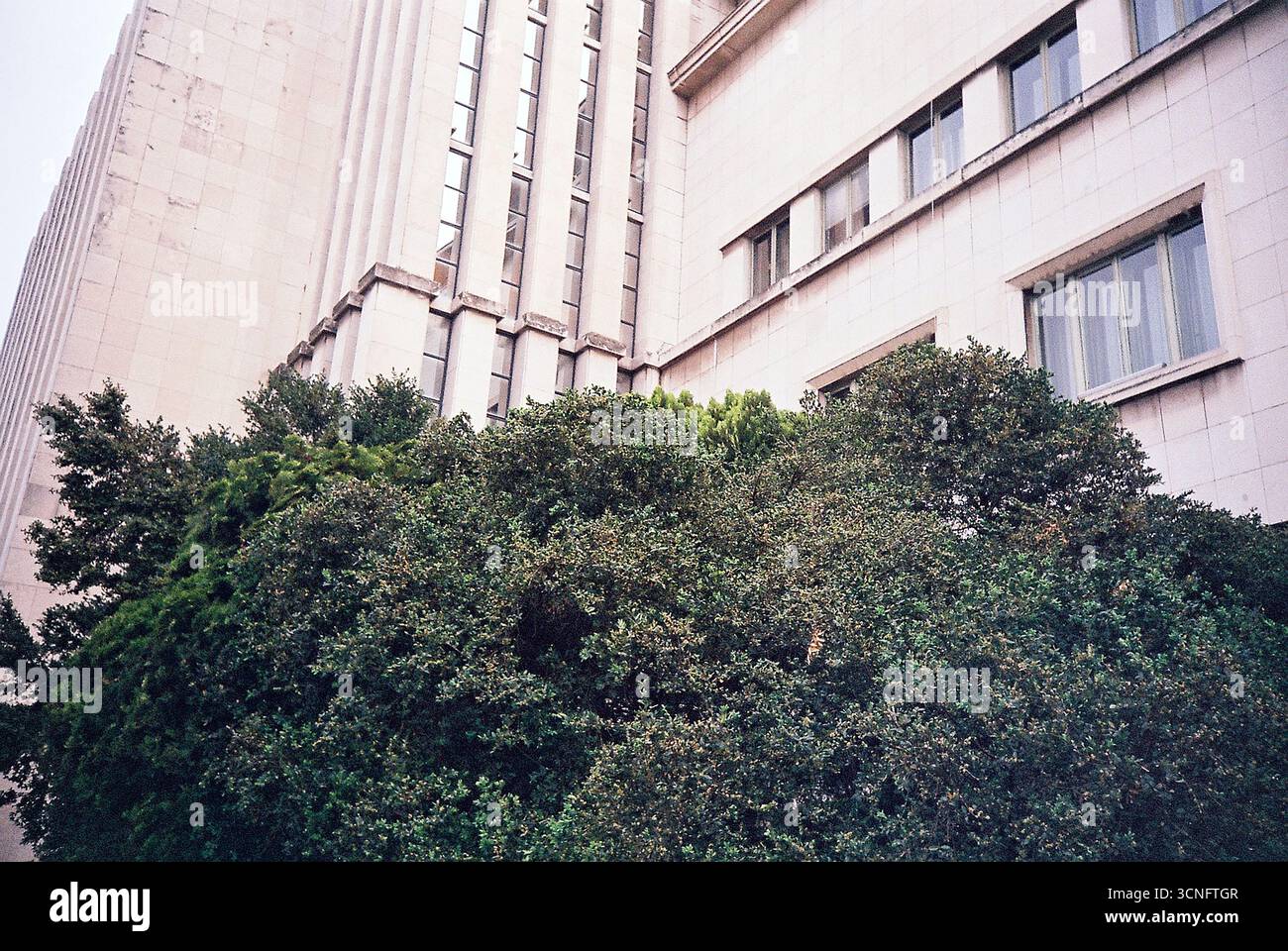 Analoge Fotografie des Gebäudes der Baninsula in Novi Sad, Serbien. Ein monumentales Beispiel modernistischer Architektur der Zwischenkriegszeit, aufgenommen mit Filmkorn und Stockfoto