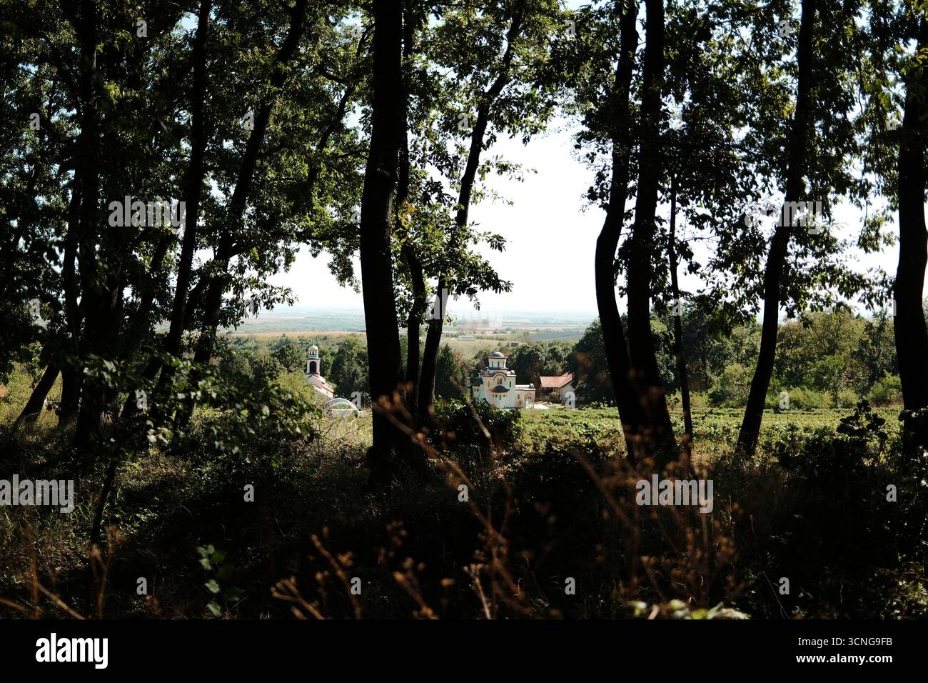 Blick auf das von Bäumen eingerahmte Kloster Grgeteg im Fruska Gora Nationalpark, umgeben von üppigem Grün und Hügeln. Serbien Land. Stockfoto