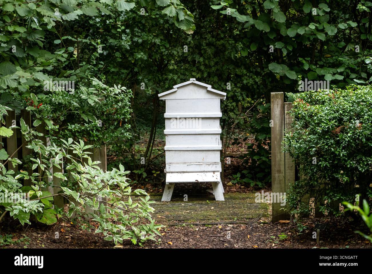 Bienenstock in einem englischen Garten im Herbst Stockfoto