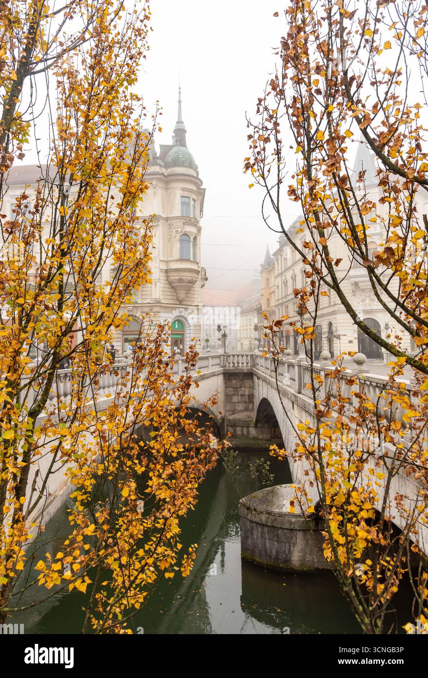 Goldene Blätter zieren die Bäume entlang eines ruhigen Kanals in Ljubljana. Eine bezaubernde Brücke verbindet historische Gebäude, die in Nebel gehüllt sind, und fängt den Essens ein Stockfoto