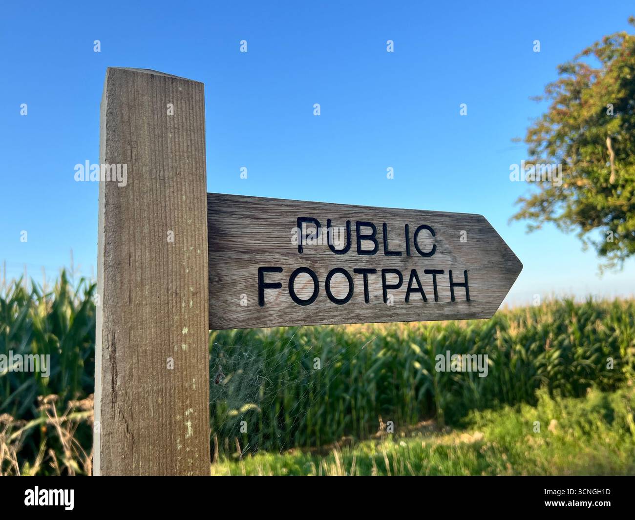 Ein Foto eines öffentlichen Fußweges im ländlichen Norfolk, Großbritannien - Smartphone-aufgenommenes Stockfoto