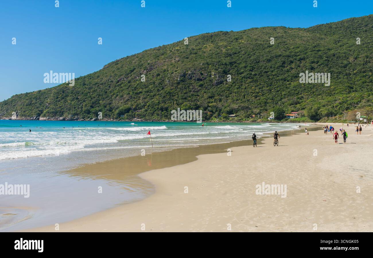 Florianopolis, Brasilien - 12. September 2025: Blick auf den Strand Matadeiro, viele Surfer im Meer Stockfoto