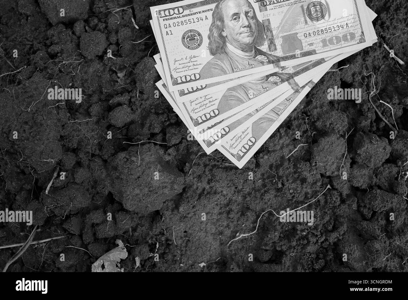 Dollar auf den Boden gelegt. Finanzkonzepte, Vermögen, Investitionen und Grundstücksmarkt. Schwarz-weiß. Kopierbereich. Stockfoto
