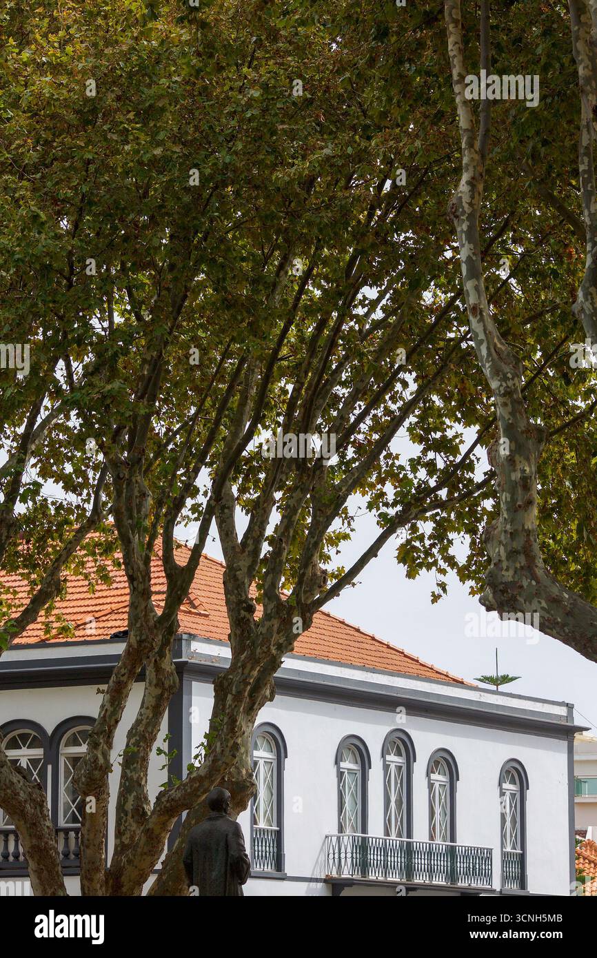 Madeira Island, Nordatlantik Stockfoto